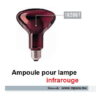 Ampoule pour lampe infrarouge