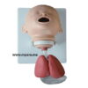 MODELE DE FORMATION & D'INTUBATION DU NOURRISSON