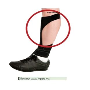 MOLLETIERE POUR LE RELEVEUR DE PIED BOXIA AB-12